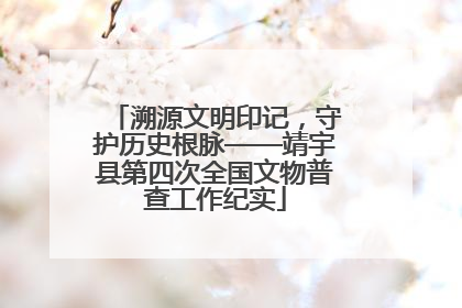 溯源文明印记，守护历史根脉——靖宇县第四次全国文物普查工作纪实