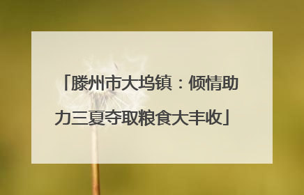 滕州市大坞镇：倾情助力三夏夺取粮食大丰收