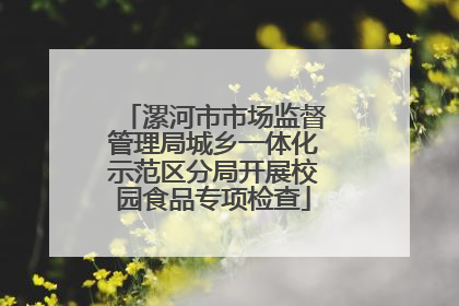 漯河市市场监督管理局城乡一体化示范区分局开展校园食品专项检查