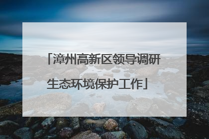 漳州高新区领导调研生态环境保护工作