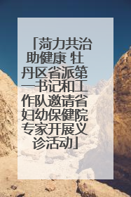菏力共治助健康 牡丹区省派第一书记和工作队邀请省妇幼保健院专家开展义诊活动
