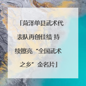 菏泽单县武术代表队再创佳绩 持续擦亮“全国武术之乡”金名片
