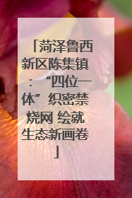 菏泽鲁西新区陈集镇：“四位一体”织密禁烧网 绘就生态新画卷