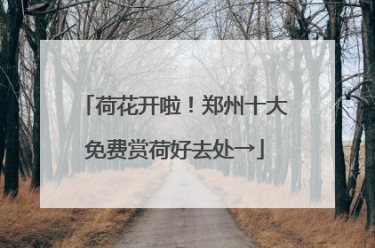 荷花开啦！郑州十大免费赏荷好去处→