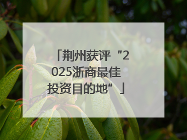 荆州获评“2025浙商最佳投资目的地”