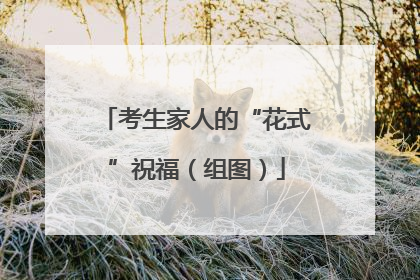 考生家人的“花式”祝福（组图）