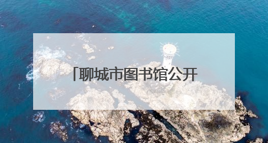 聊城市图书馆公开招募暑假志愿者