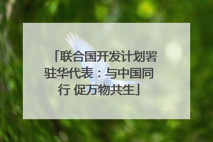 联合国开发计划署驻华代表：与中国同行 促万物共生