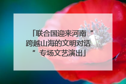 联合国迎来河南“跨越山海的文明对话”专场文艺演出