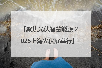 聚焦光伏智慧能源 2025上海光伏展举行
