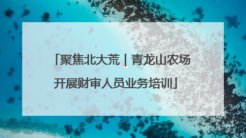 聚焦北大荒｜青龙山农场开展财审人员业务培训
