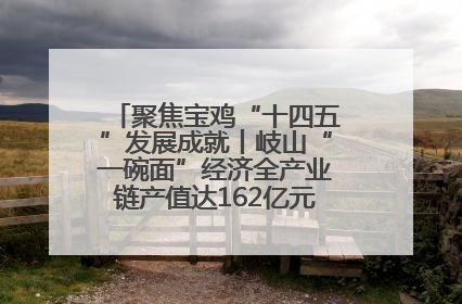 聚焦宝鸡“十四五”发展成就丨岐山“一碗面”经济全产业链产值达162亿元 入选全国典型县