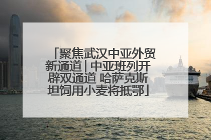 聚焦武汉中亚外贸新通道│中亚班列开辟双通道 哈萨克斯坦饲用小麦将抵鄂