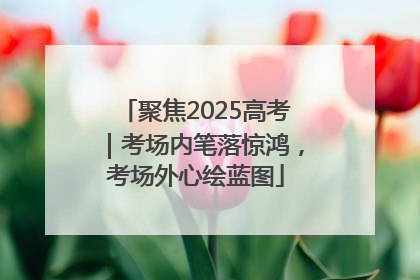 聚焦2025高考｜考场内笔落惊鸿，考场外心绘蓝图