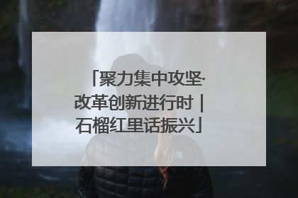 聚力集中攻坚·改革创新进行时｜石榴红里话振兴