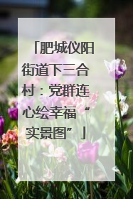 肥城仪阳街道下三合村：党群连心绘幸福“实景图”