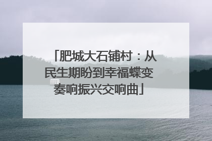 肥城大石铺村：从民生期盼到幸福蝶变奏响振兴交响曲