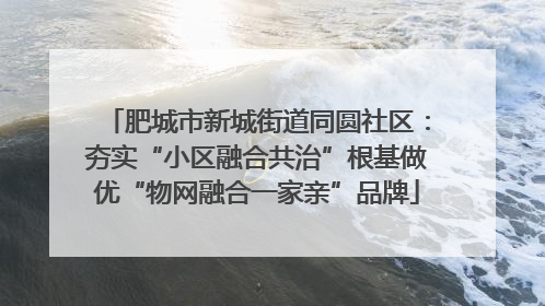 肥城市新城街道同圆社区：夯实“小区融合共治”根基做优“物网融合一家亲”品牌