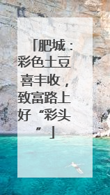 肥城：彩色土豆喜丰收，致富路上好“彩头”