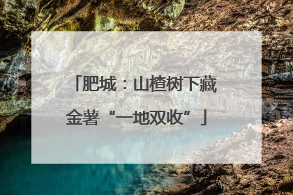 肥城：山楂树下藏金薯“一地双收”