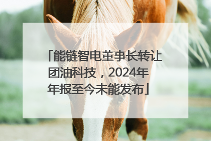 能链智电董事长转让团油科技，2024年年报至今未能发布