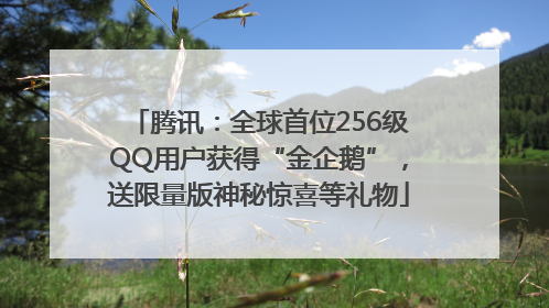 腾讯：全球首位256级QQ用户获得“金企鹅”，送限量版神秘惊喜等礼物