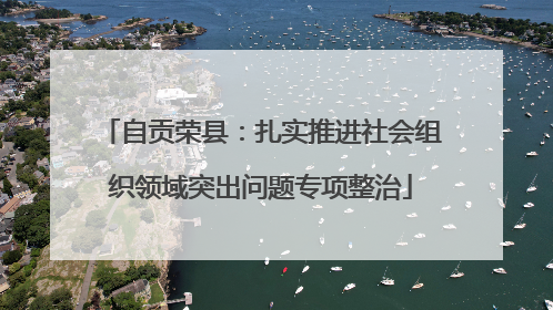 自贡荣县：扎实推进社会组织领域突出问题专项整治