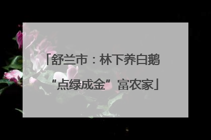 舒兰市：林下养白鹅 “点绿成金”富农家