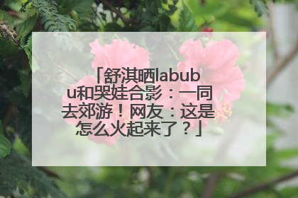 舒淇晒labubu和哭娃合影：一同去郊游！网友：这是怎么火起来了？