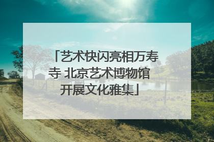 艺术快闪亮相万寿寺 北京艺术博物馆开展文化雅集