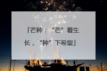 芒种：“芒”着生长，“种”下希望