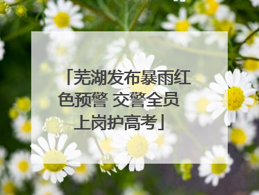 芜湖发布暴雨红色预警 交警全员上岗护高考