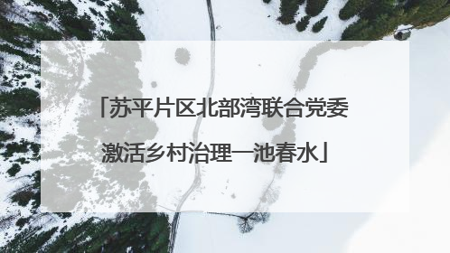 苏平片区北部湾联合党委 激活乡村治理一池春水