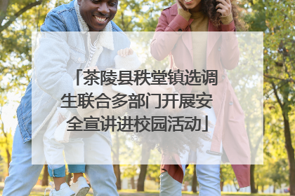 茶陵县秩堂镇选调生联合多部门开展安全宣讲进校园活动