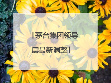 茅台集团领导层最新调整