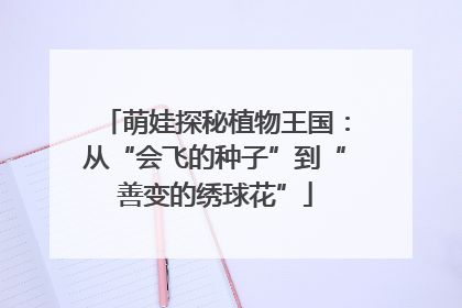 萌娃探秘植物王国：从“会飞的种子”到“善变的绣球花”