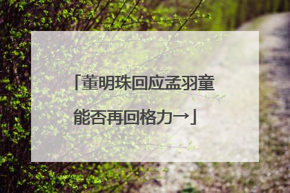 董明珠回应孟羽童能否再回格力→