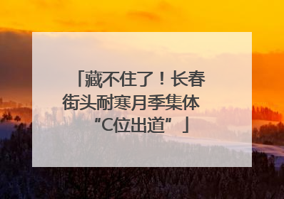 藏不住了！长春街头耐寒月季集体“C位出道”