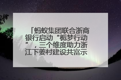 蚂蚁集团联合浙商银行启动“栀梦行动”，三个维度助力浙江下姜村建设共富示范区示范点