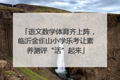 语文数学体育齐上阵，临沂金雀山小学乐考让素养测评“活”起来