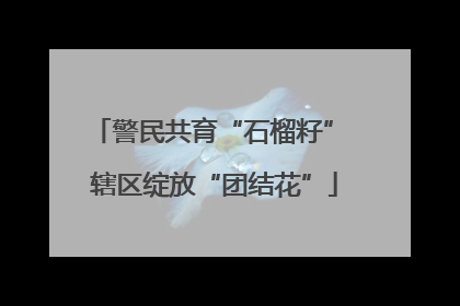 警民共育“石榴籽” 辖区绽放“团结花”