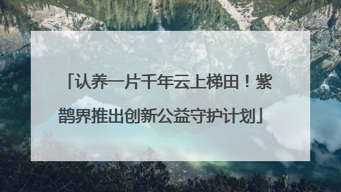认养一片千年云上梯田！紫鹊界推出创新公益守护计划