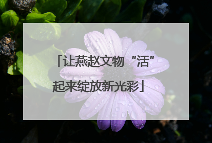 让燕赵文物“活”起来绽放新光彩