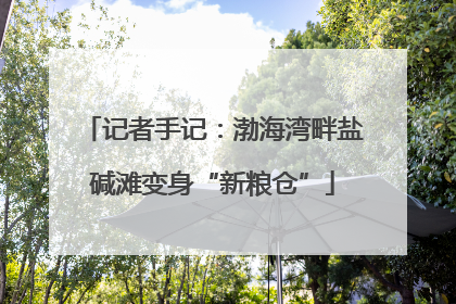 记者手记：渤海湾畔盐碱滩变身“新粮仓”