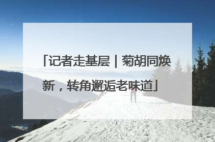 记者走基层｜菊胡同焕新，转角邂逅老味道