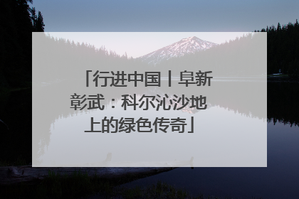 行进中国丨阜新彰武：科尔沁沙地上的绿色传奇