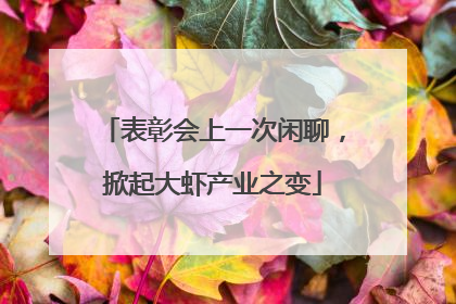 表彰会上一次闲聊，掀起大虾产业之变
