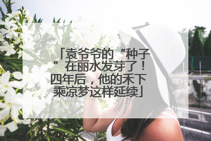 袁爷爷的“种子”在丽水发芽了！四年后，他的禾下乘凉梦这样延续