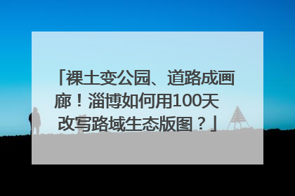 裸土变公园、道路成画廊！淄博如何用100天改写路域生态版图？