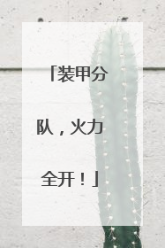 装甲分队,火力全开!